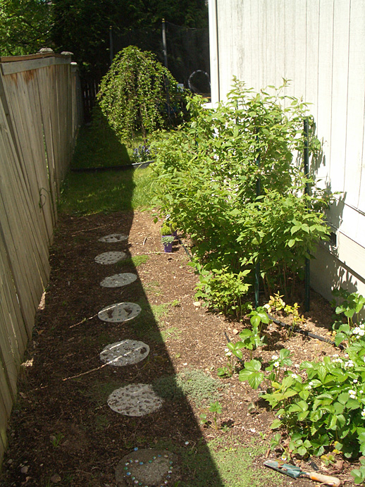 This is the southern side of the house, the kids' foraging garden. :)  I have strawberries, a couple puny blueberries which may or may not produce this year, rasperry bushes, and cherry tomatoes beyond the raspberries.  The kids and I made all of the stepping stones.  There are different varieties of thyme planted between them, though they aren't fillingin as fast as I'd like so I'm going to add a few more.